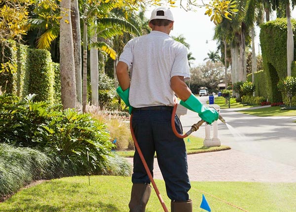 About Baisden WV Pest Control